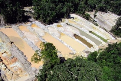 A companhia foi responsabilizada pela morte de 24 toneladas de peixes no entorno da Usina Hidrelétrica de Belo Monte, no Pará, entre 2015 e 2018.
