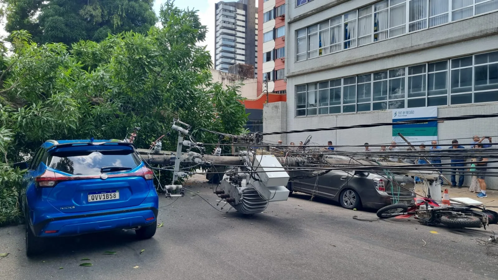 A árvore desabou sobre carros. Foto: Mauro Ângelo/Diário do Pará