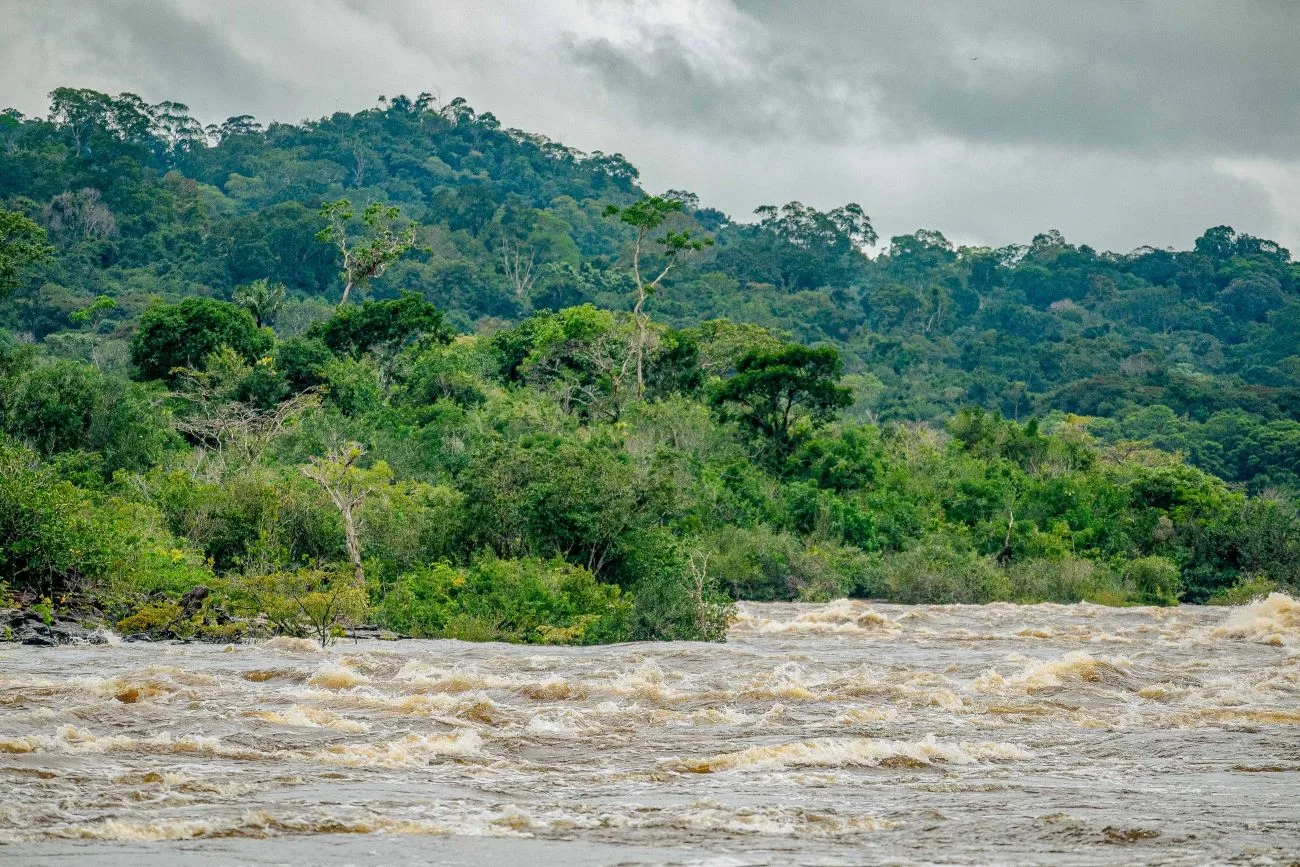 Desde 2022, o Estado já protegeu 686 mil hectares adicionais de áreas estratégicas e se aproxima da meta de 1 milhão de hectares até 2026