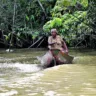 Comunidades locais como indígenas, quilombolas e ribeirinhos são as principais afetadas com a degradação da floresta amazônica e podem contribuir nos debates para a proteção da região