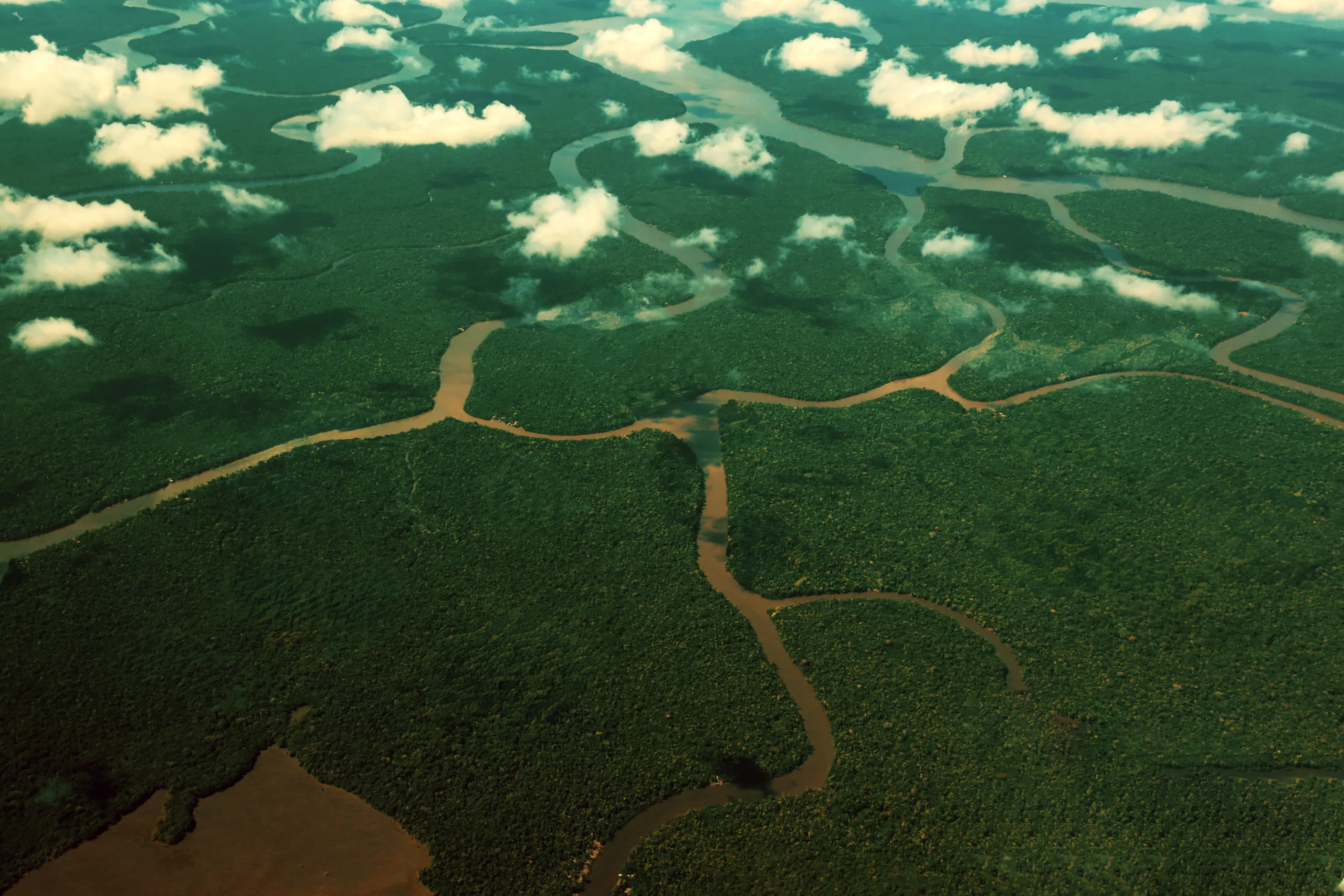 Desmatamento vem reduzindo no Pará desde 2020