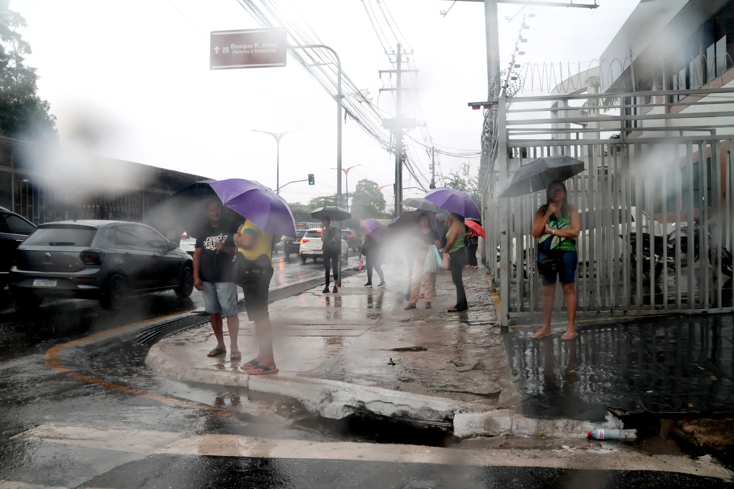  Acumulado de chuvas até o momento segue dentro do esperado para a época Foto: Ricardo Amanajás 