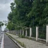 Chuvas afetam bosque em Belém. Saiba como uma árvore caiu no bosque Rodrigues Alves após breve, porém intensa chuva.