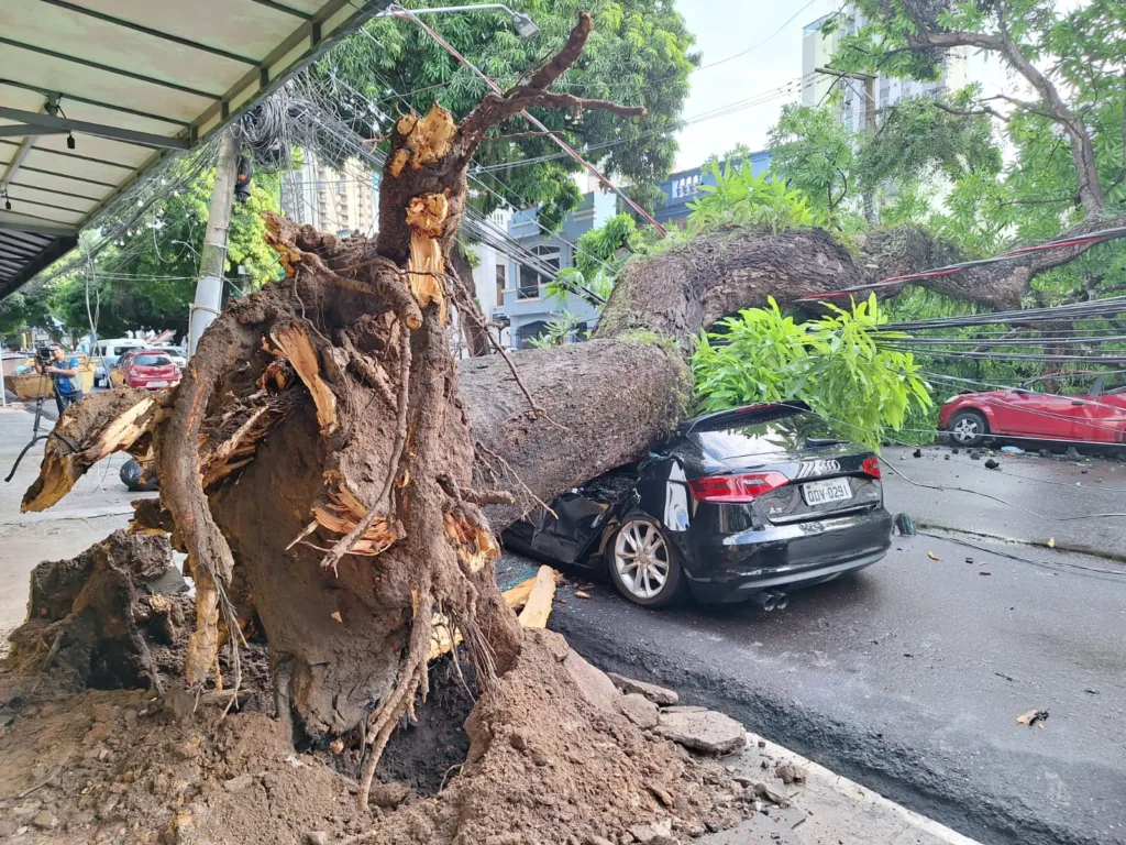 Apesar do susto e dos prejuízos, ninguém ficou ferido Fotos: Irlaine Nóbrega