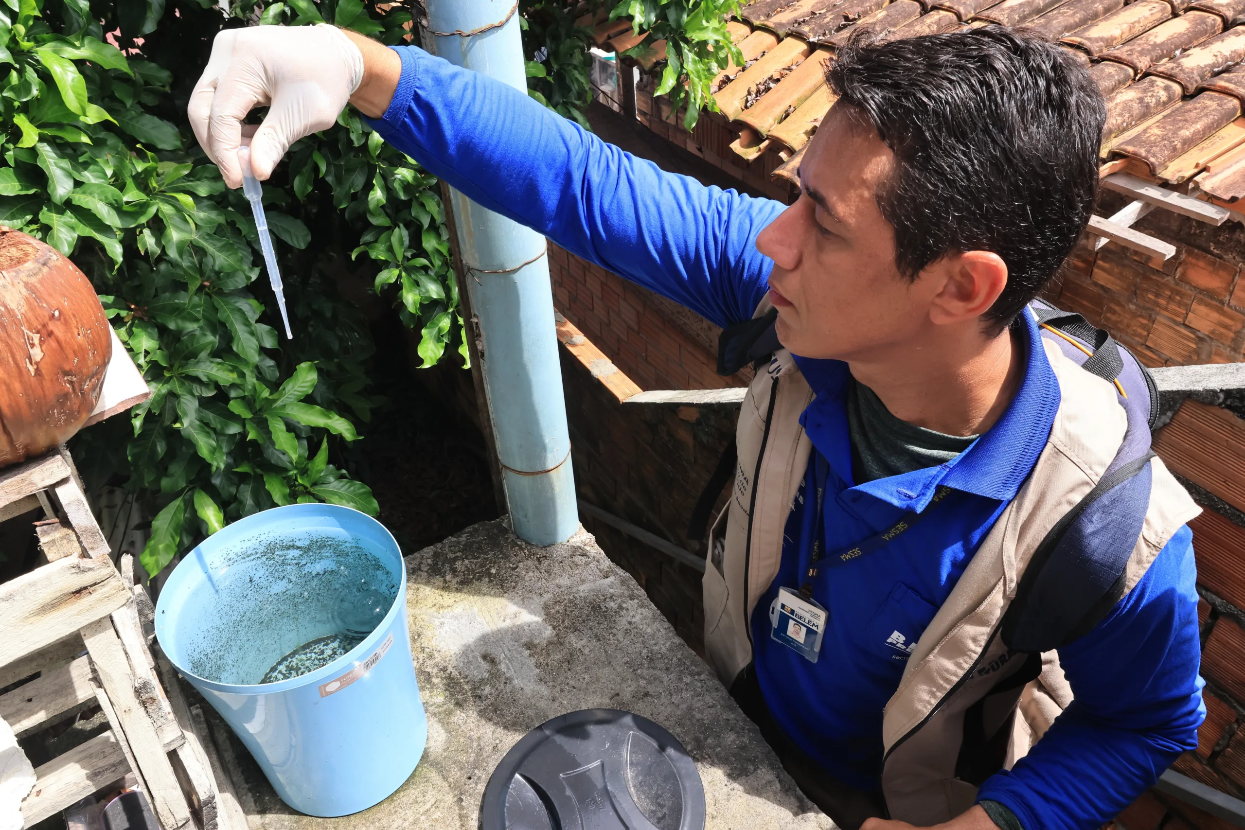 Entenda o que é a dengue e como ela se espalhou pelo Brasil. Conheça os sorotipos e saiba como se prevenir.