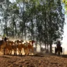 Entenda como a nova decisão sobre a taxa do agronegócio poderá beneficiar os agricultores do Pará e impulsionar a economia.