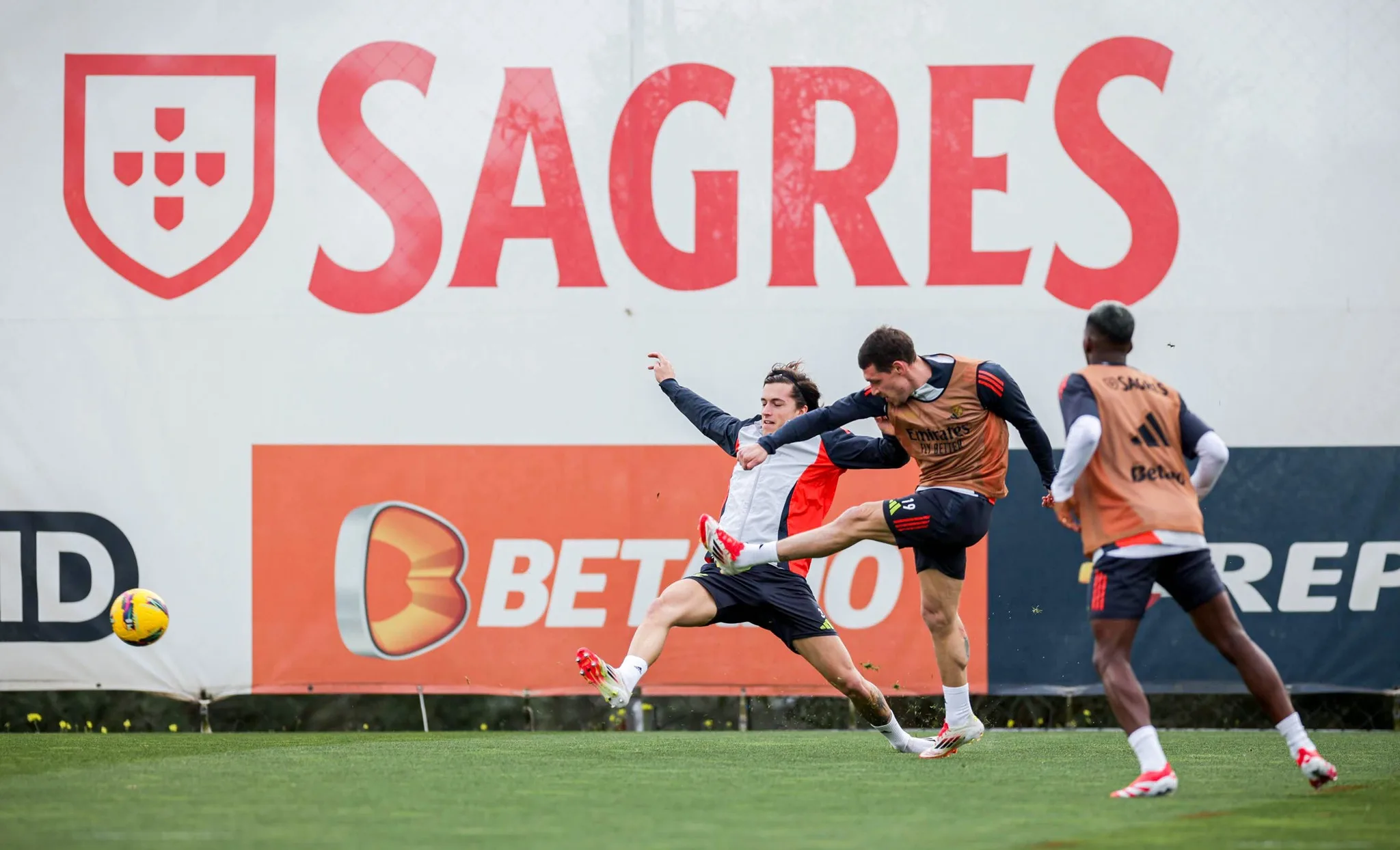 Confronto decisivo entre Moreirense e Benfica. Veja detalhes da partida pela Liga Portugal Betclic e assista ao vivo.