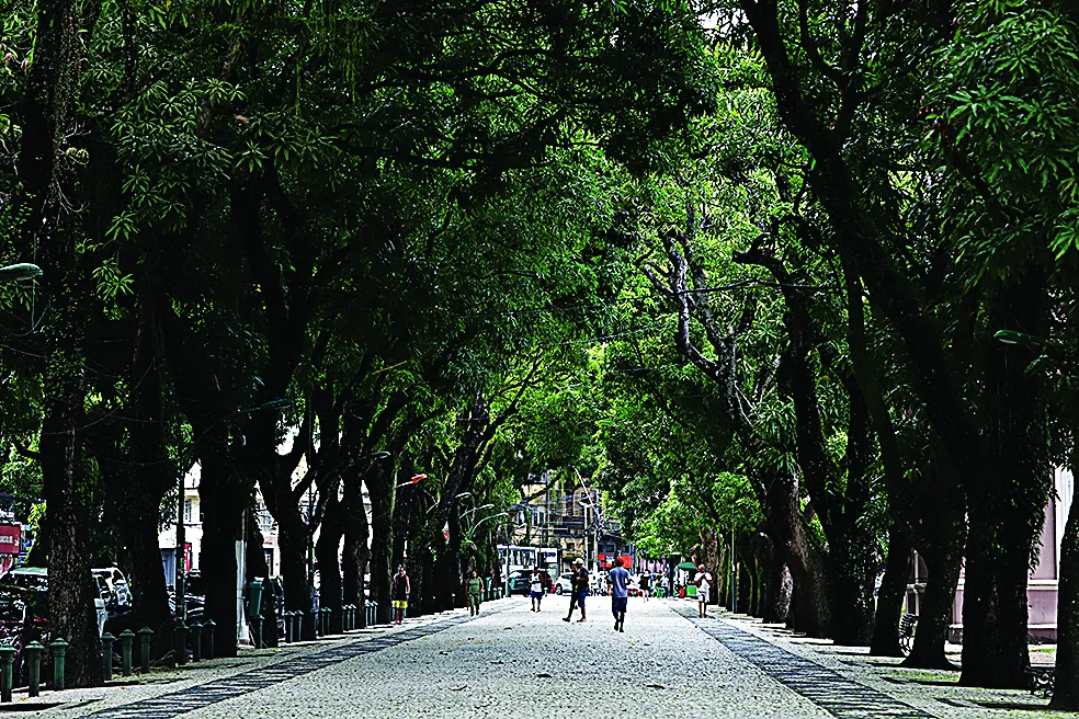 Foto: Wagner Almeida / Diário do Pará