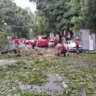 Uma árvore de grande porte caiu na Avenida Magalhães Barata, em Belém, devido à forte chuva.