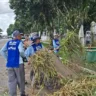 Ação de limpeza nos cemitérios Belém intensificada com apoio da Seap. Saiba mais sobre as condições e os trabalhos realizados.