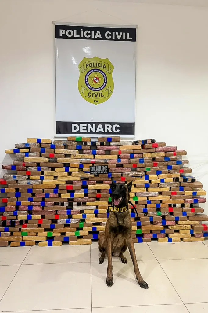 Durante a busca, com o auxílio do cão farejador "Kyra", foram encontrados 180 tabletes de substância análoga a maconha, totalizando 188 quilos de droga.