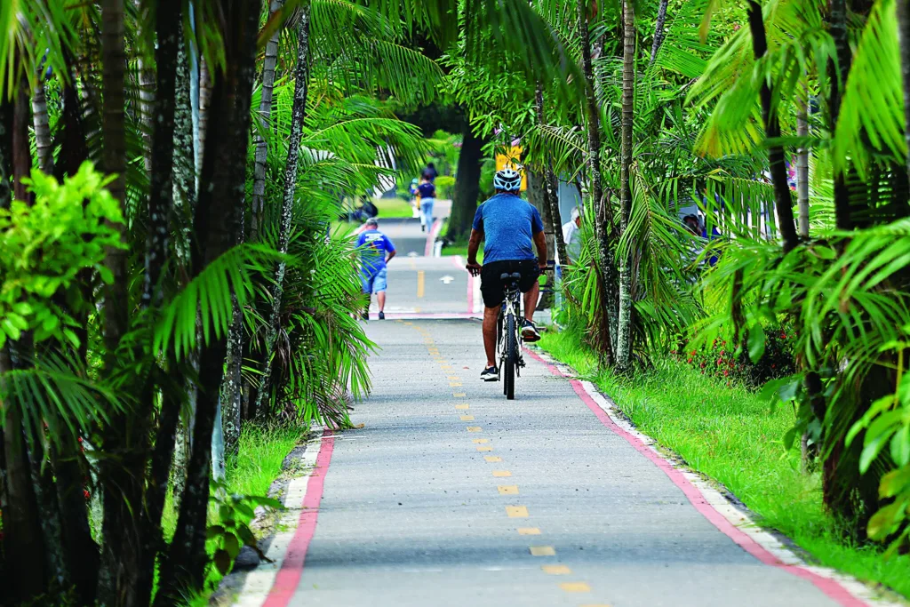 Nos últimos dias, mensagens nas redes sociais afirmando que o governo federal planeja cobrar IPVA sobre bicicletas geraram alarde entre internauta