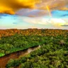 Números consolidam o Pará como um exemplo de liderança na conservação da Amazônia

FOTO: Fernando Sette/Divulgação