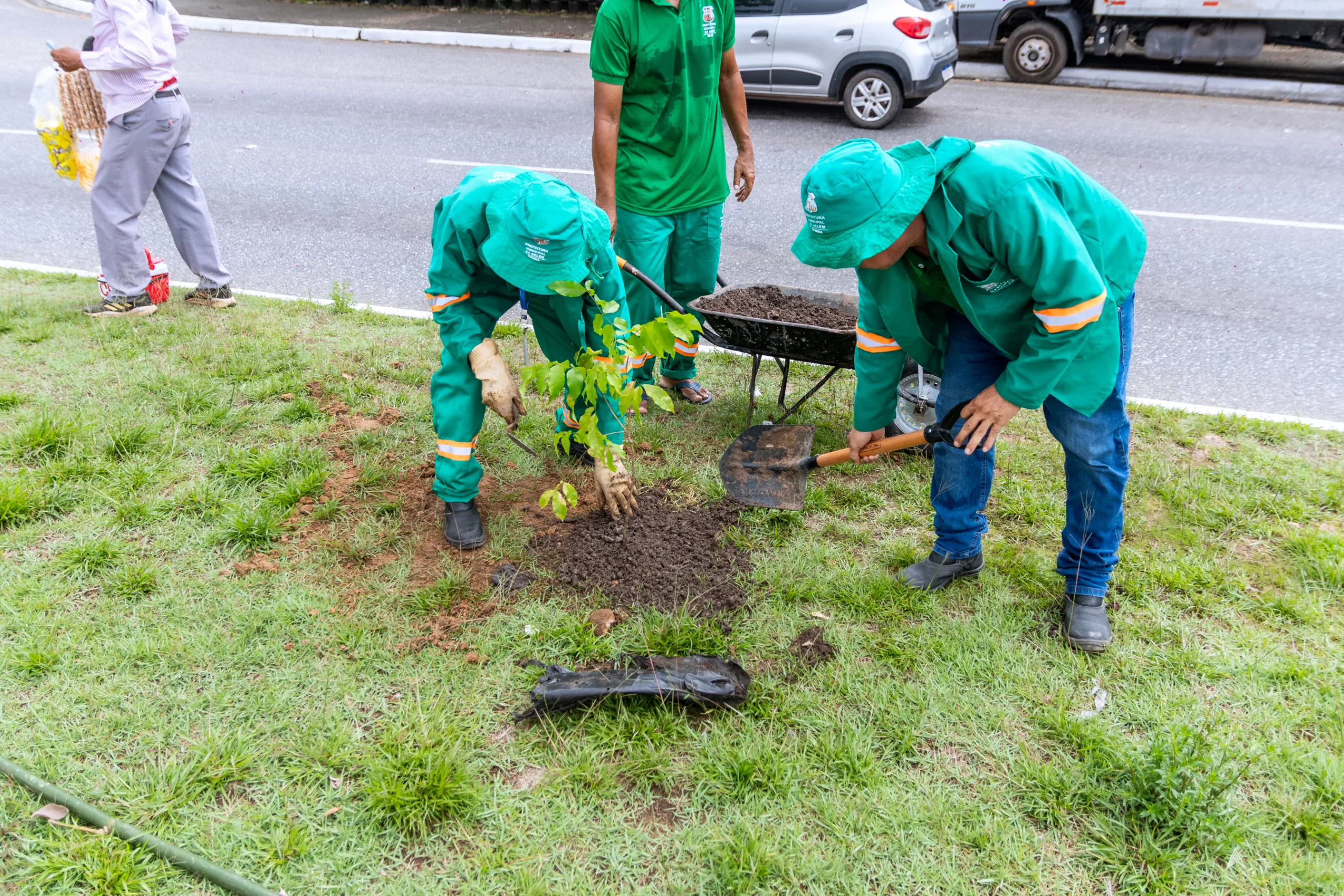 Foto: Felipe de Souza/ Comus PMB