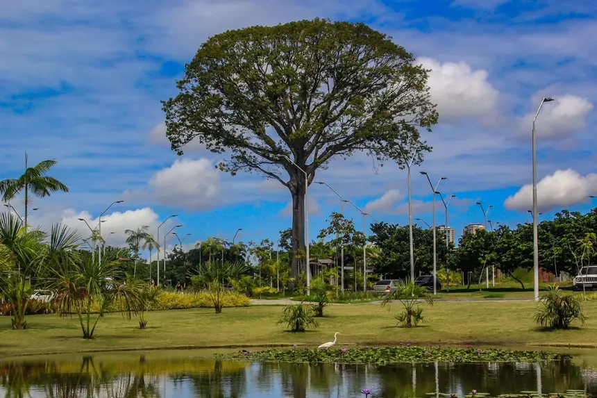 Segundo os pesquisadores do PCT Guamá, a partir dos micro-organismos é possível desenvolver remédio, enzimas industriais e ativos para cosméticos

