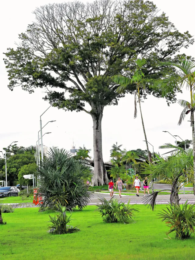  . Foto: Irene Almeida/Diário do Pará