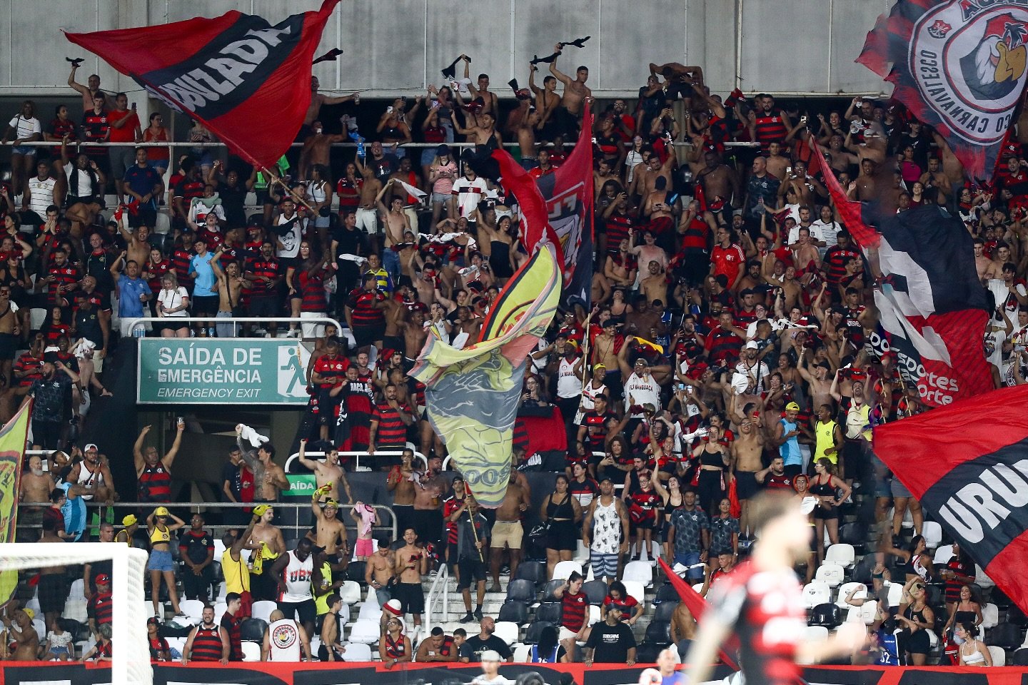 RB Bragantino e Flamengo se enfrentam nesta quarta-feira (23), às 21h30 (horário de Brasília), no Estádio Cícero de Souza Marques, em Bragança Paulista (SP): Gilvan de Souza / CRF