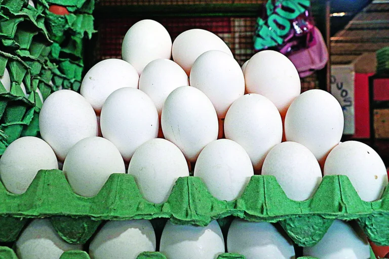 Pesquisa sobre o preço do ovo foi feita em supermercados da Região Metropolitana de Belém FOTO: RICARDO AMANAJÁS