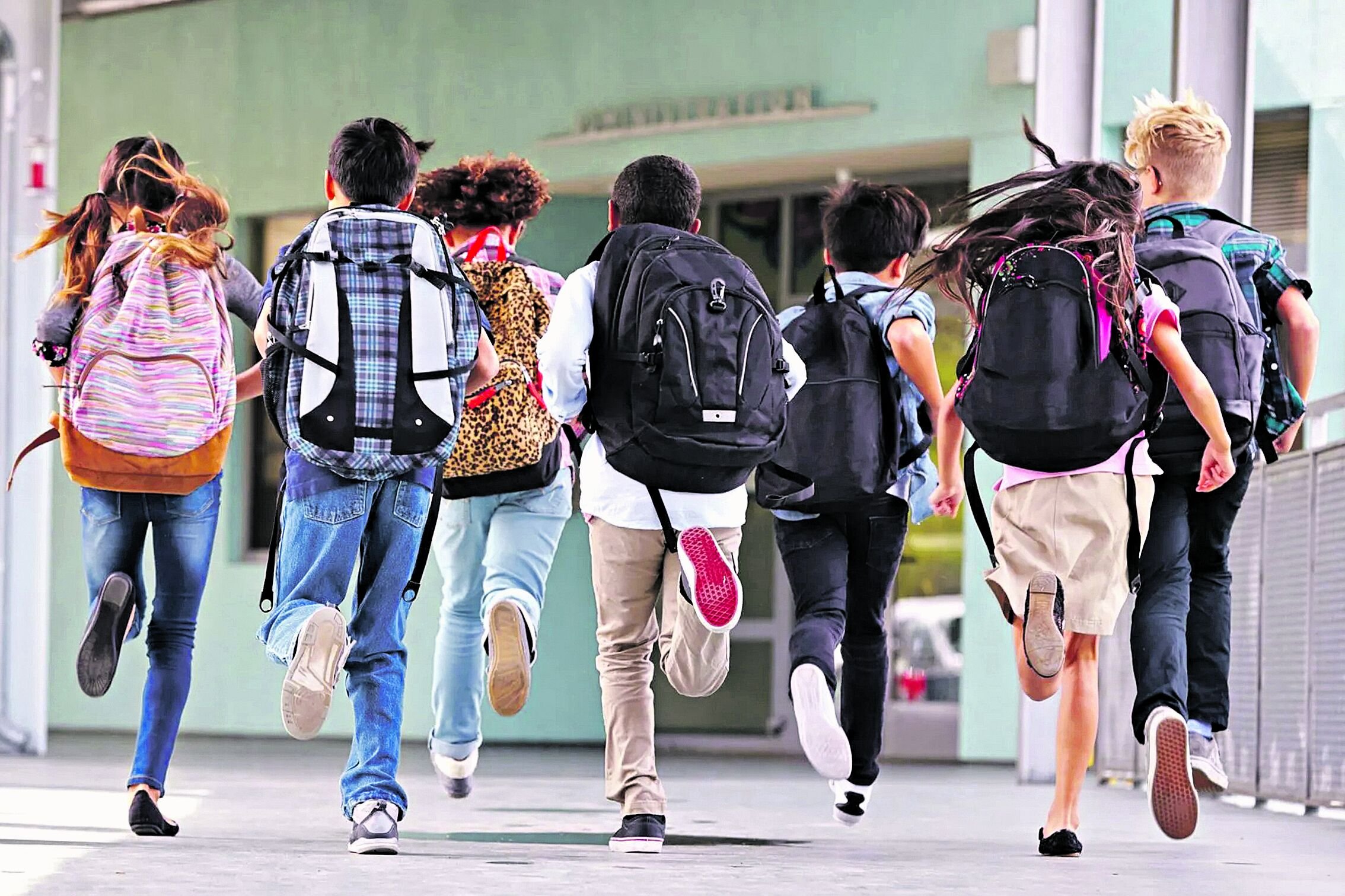 Apenas 11% das escolas brasileiras levam seus estudantes a museus e a outros espaços culturais frequentemente, e somente 1% fazem isso sempre.