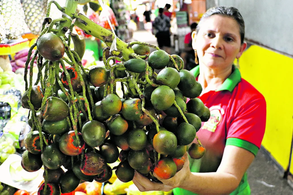 Este ano foi meio atrapalhado, porque o verão foi muito forte e atrasou. Ainda tem pouca pupunha chegando”