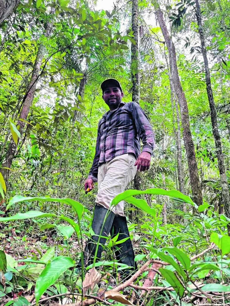 Da comunidade ribeirinha de Barreiras, no município de Almeirim, oeste do Pará, Rozinaldo e sua família mantêm toda a atividade agrícola concentrada em áreas que já haviam sido abertas anteriormente