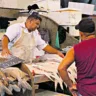 O período, que tradicionalmente registra alta demanda por pescado, costuma ser marcado pelo aumento dos preços, impactando diretamente os consumidores