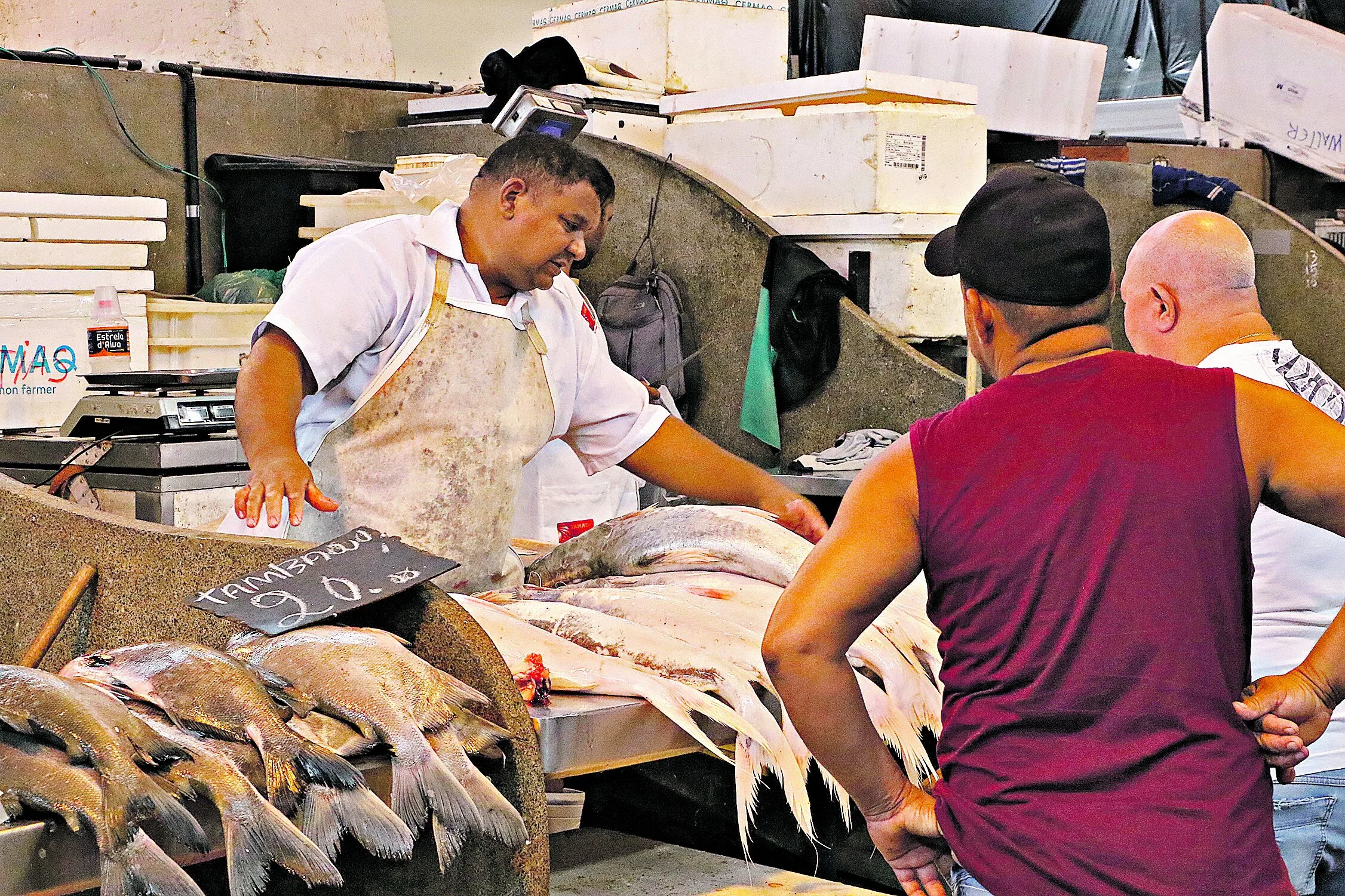 O período, que tradicionalmente registra alta demanda por pescado, costuma ser marcado pelo aumento dos preços, impactando diretamente os consumidores