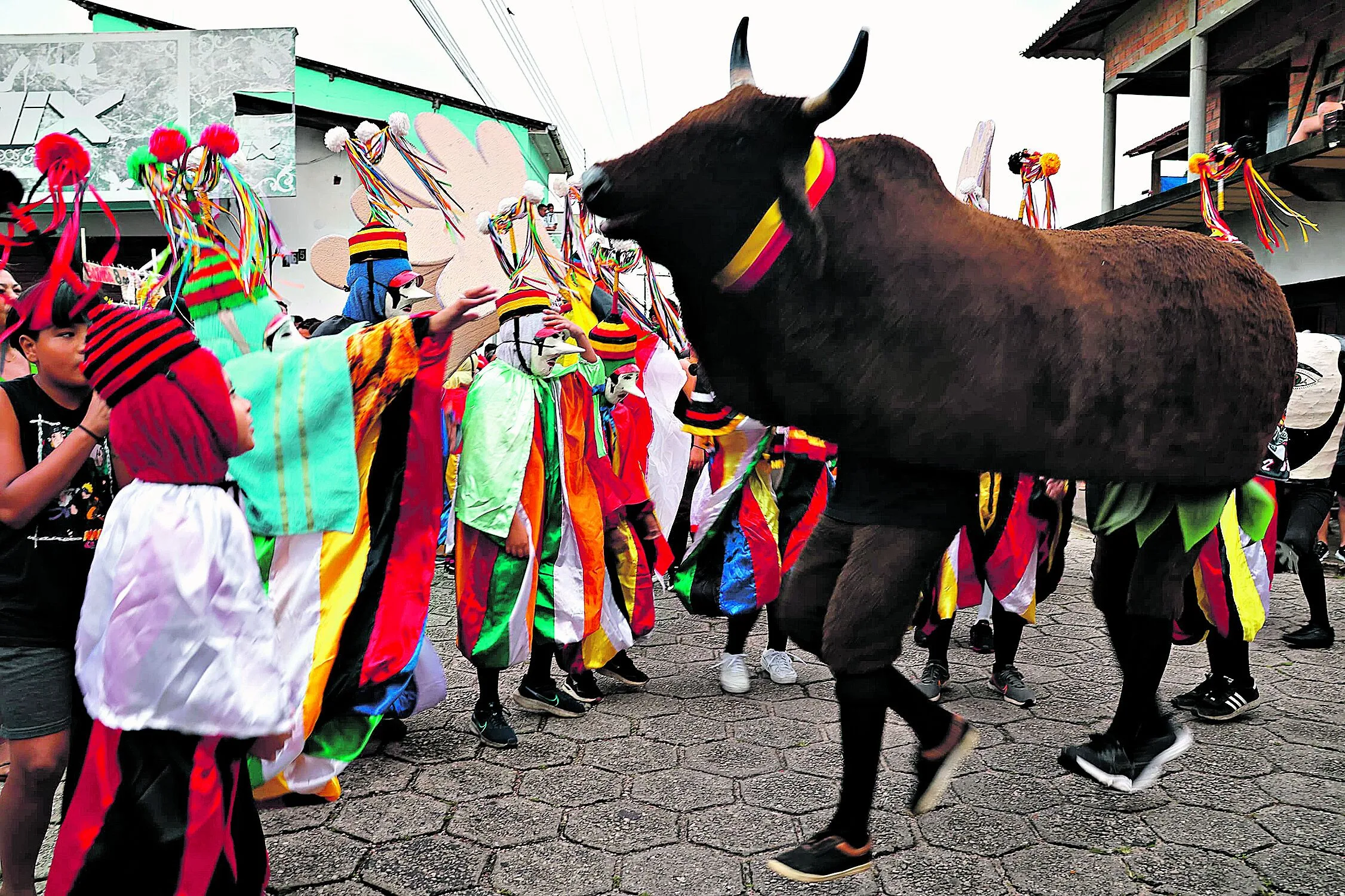 São Caetano de Odivelas voltou a ser palco de mais uma apresentação do Boi Faceiro, tradicional na cidade. Fotos: Irene Almeida