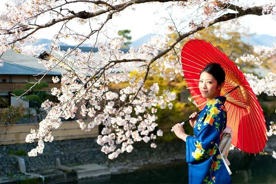 Feira da Nipo Belém oferece produtos da cultura, artesanato e culinária japonesa