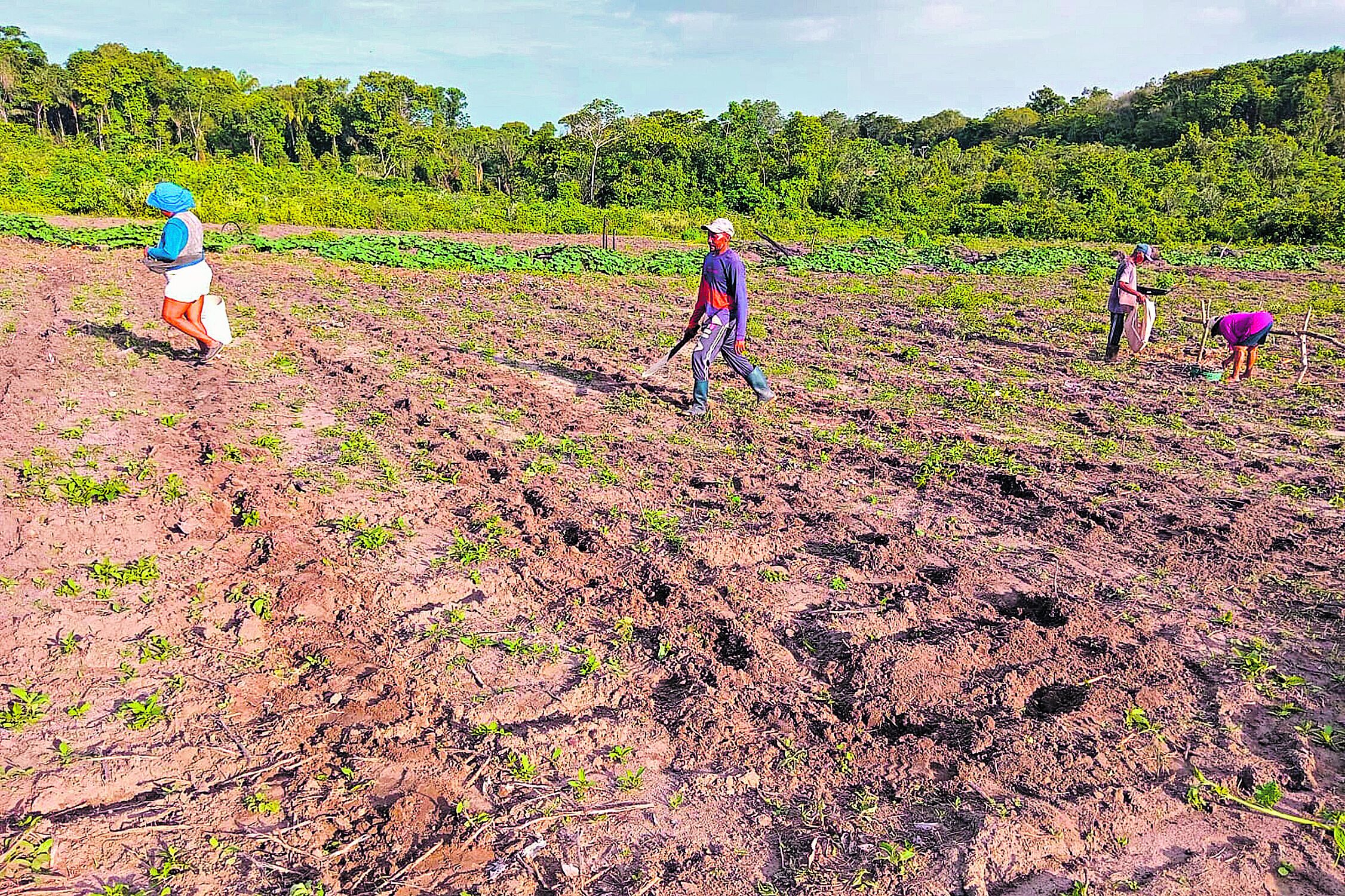 Através do sistema de Pagamentos por Serviços Ambientais, o Projeto Floresta+ Amazônia valoriza trabalhadores e trabalhadoras rurais da Amazônia Legal que preservam a floresta em suas propriedades