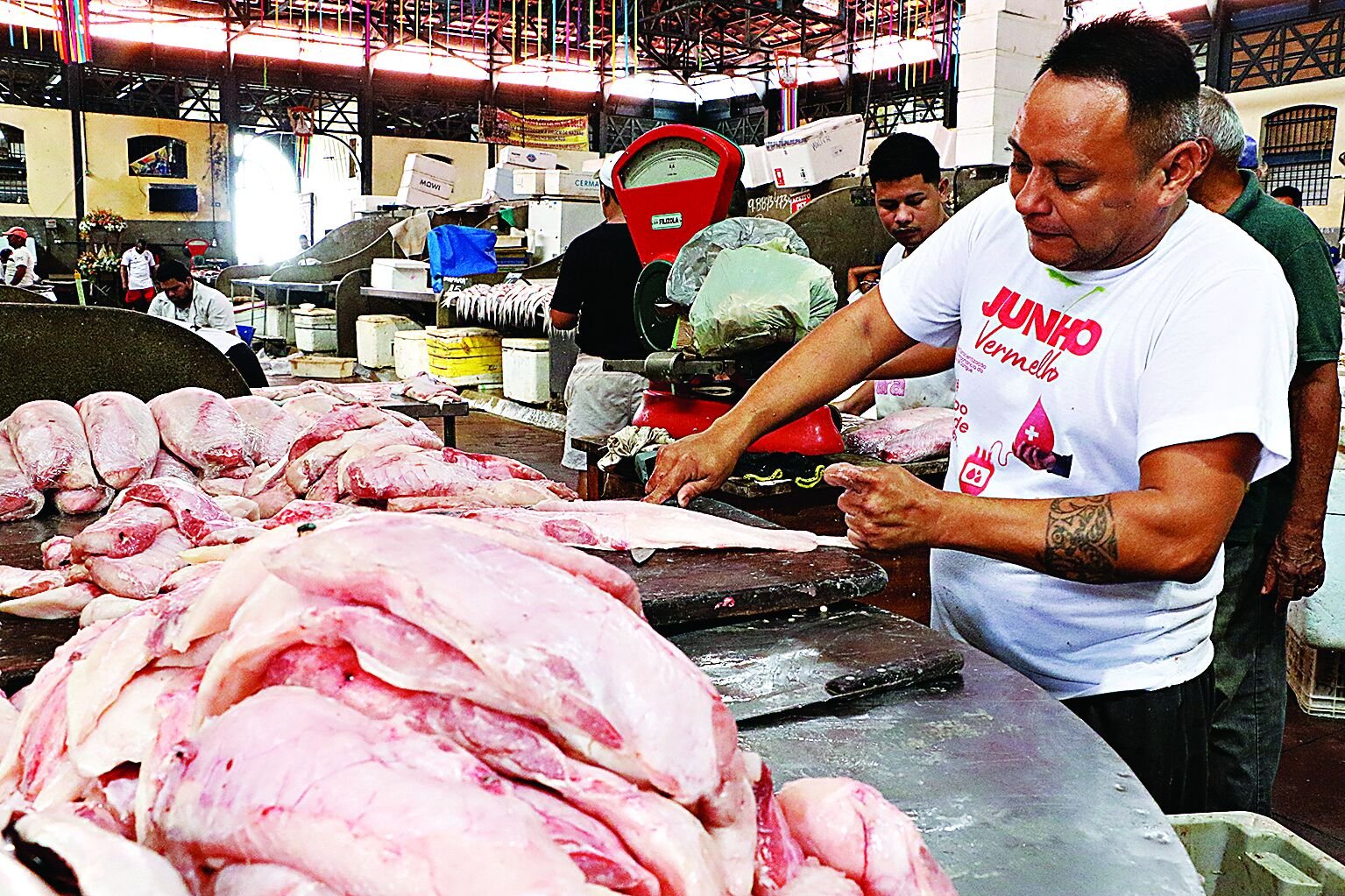 Cerca de 250 toneladas de pescado serão ofertadas este ano em Belém e em mais de 60 municípios paraenses na Feira do Pescado.