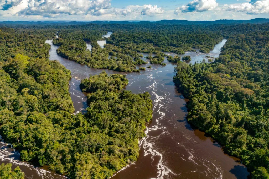 O Pará segue se consolidando como um dos entes federativos mais importantes na preservação da floresta amazônica O Pará segue se consolidando como um dos entes federativos mais importantes na preservação da floresta amazônica