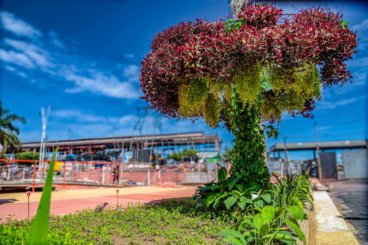 Técnica inspirada em projeto de Cingapura reaproveita materiais de construção para criar suportes para plantas naturais na Nova Doca e Tamandaré