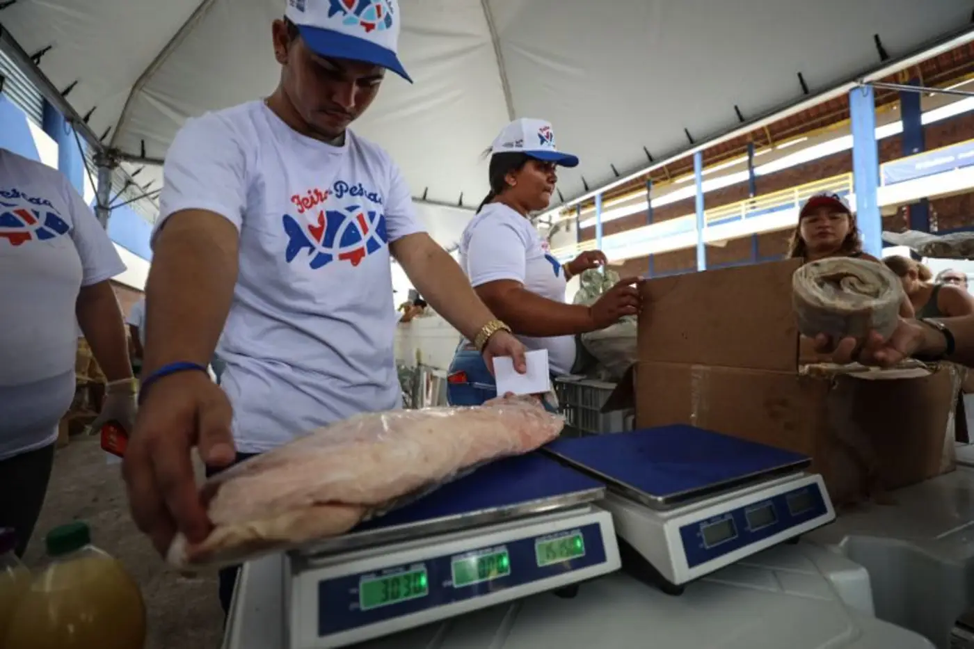 Feira do Pescado em Belém e 60 municípios: veja onde comprar e os preços atualizados e garantir o peixe da Semana Santa.