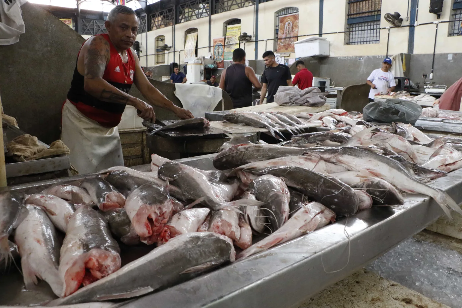 O preço da maioria do pescado consumido e comercializado nos mercados de Belém apresentou queda de preço, entre os meses de maio e junho deste ano.