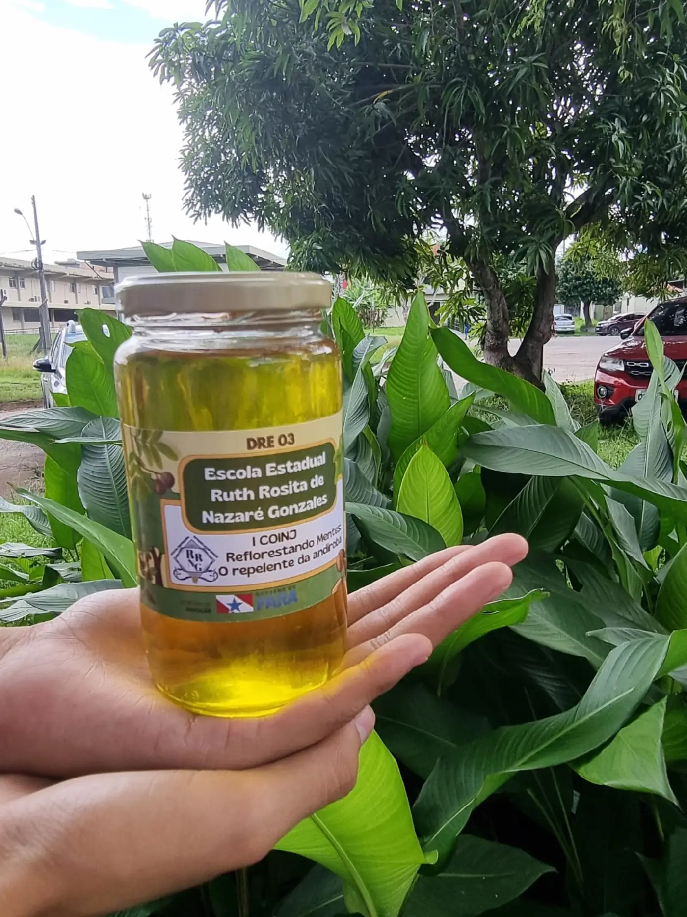 O projeto de Educação Ambiental envolveu estudantes da Escola Estadual Professora Ruth Rosita de Nazaré Gonzales, no bairro do Guamá