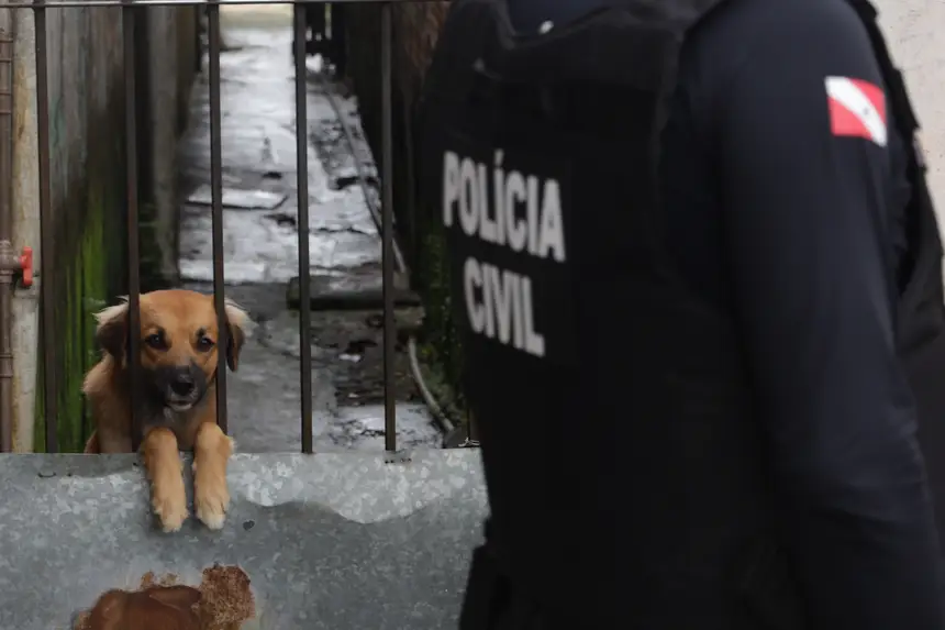 Maus-tratos a animais são alvo de operação em Belém