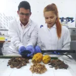 Cândido Neto coordena estudo para o uso de biochá na produção agrícola FOTOs: reprodução