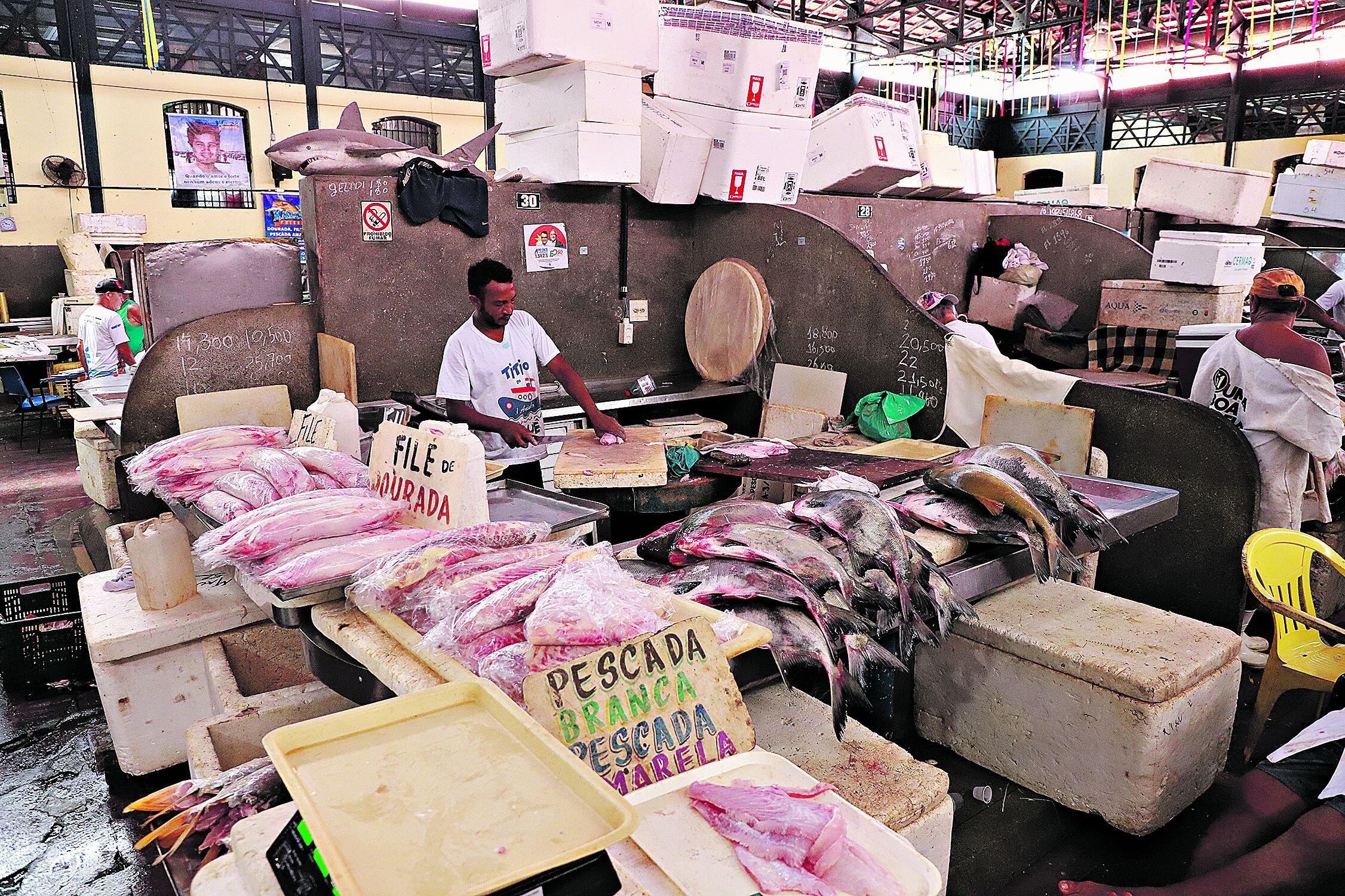 Vendedores explicam quais espécies são as mais procuradas, as mais baratas e as mais caras