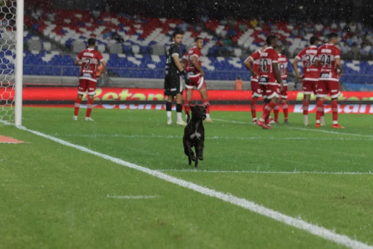 Cachorro invadiu o gramado do Mangueirão. Foto: Mauro Ângelo