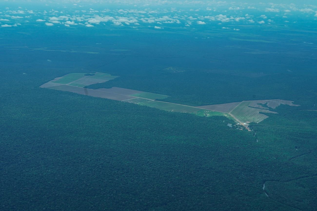 Foto: Augusto Miranda / Ag. Pará