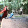 Foto: Jader Paes/Ag. Belém