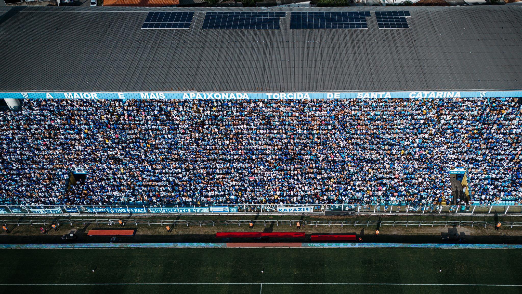 Avaí e Atlético-GO se enfrentam neste sábado (10), às 16h (horário de Brasília), no Estádio da Ressacada, em Florianópolis, pela 7ª rodada da Série B. Foto: Leandro Boeira/Avaí F.C.