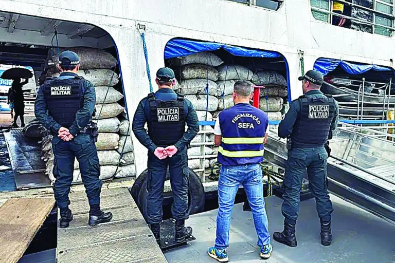 Ações de fiscalização em Santarém, Óbidos e no sudeste do estado resultaram na retenção de cargas