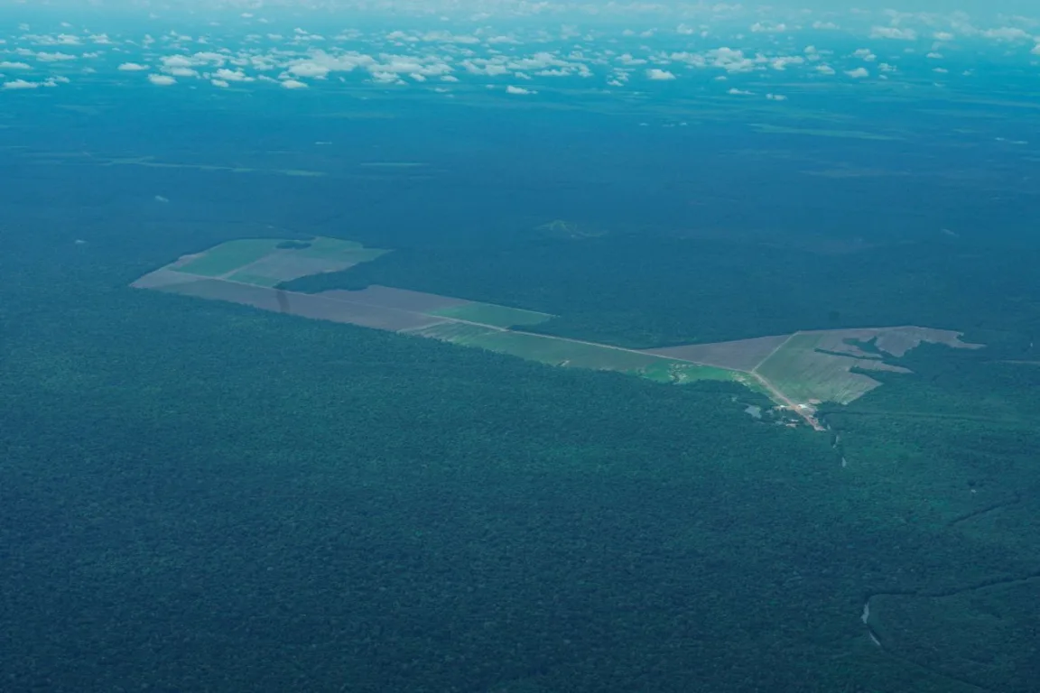Foto: Augusto Miranda / Ag. Pará