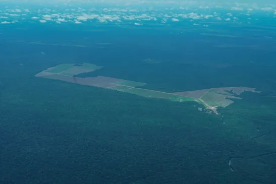 Foto: Augusto Miranda / Ag. Pará