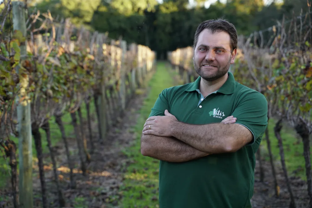  Maurício Bonafé, gerente agrícola da Cooperativa Vinícola Aurora.