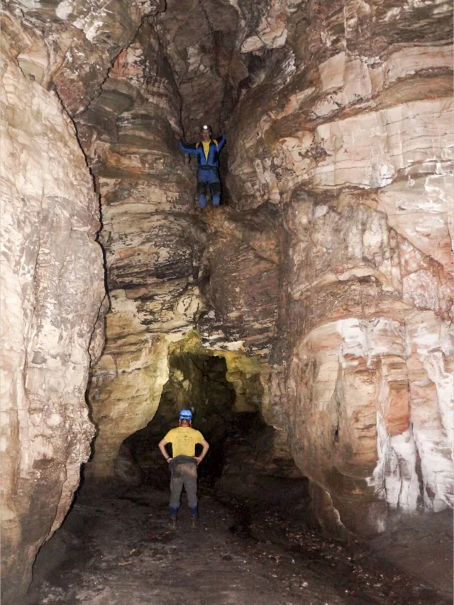 Minas Gerais é o estado com o maior número de cavernas conhecidas: 12.911, que representam 49,57% do total no país. Em seguida está o Pará