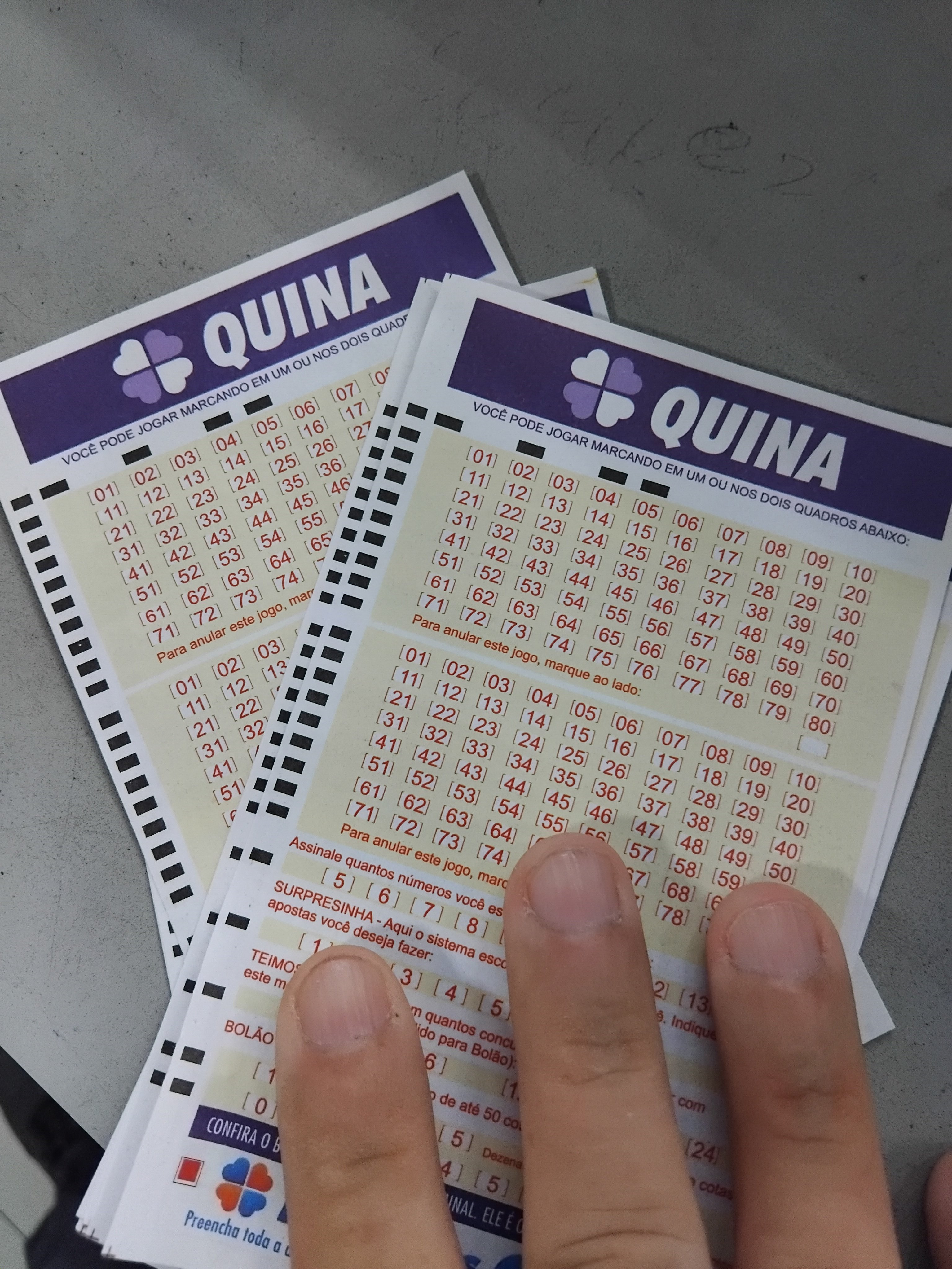 Confira os resultados do concurso 6804 da Quina e saiba como jogar, prazos de resgate e destinação social dos recursos.