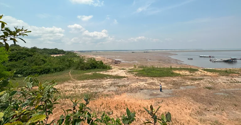 Previsão da Organização Meteorológica Mundial aponta que as temperaturas podem ficar próximas ou exceder as marcas recordes registradas em 2024 Foto: Cimone Barros / INPA